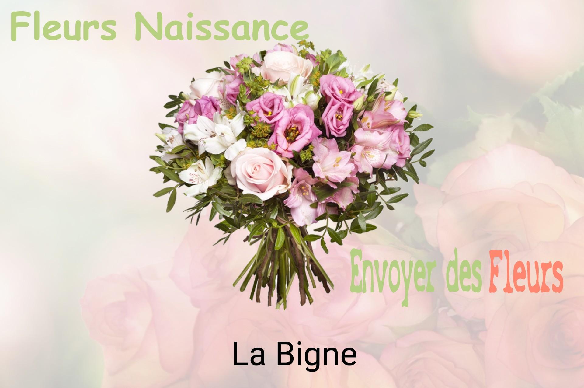 Bouquet de fleurs de naissance livré à La Bigne