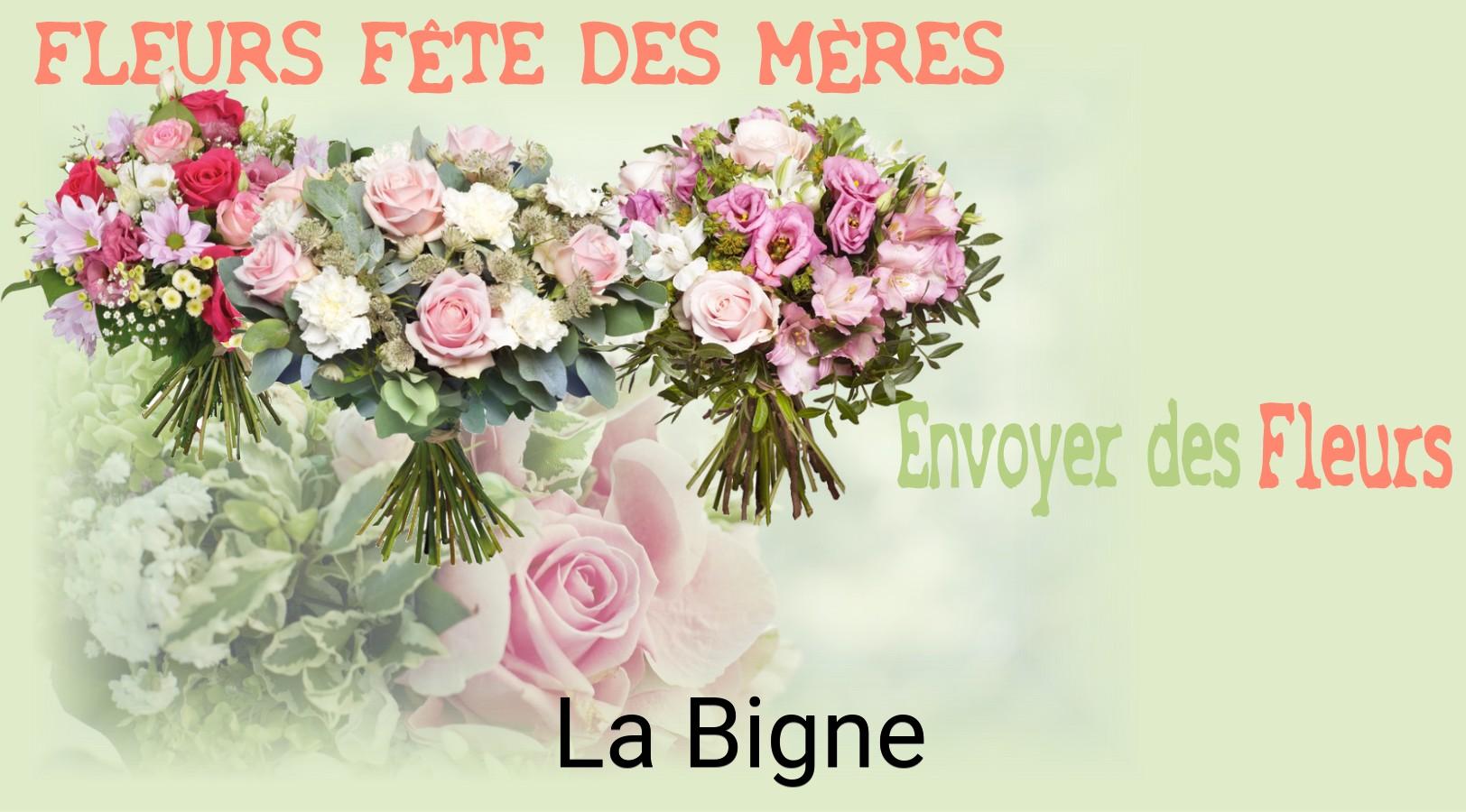 Bouquet de Fête des Mères livré à La Bigne